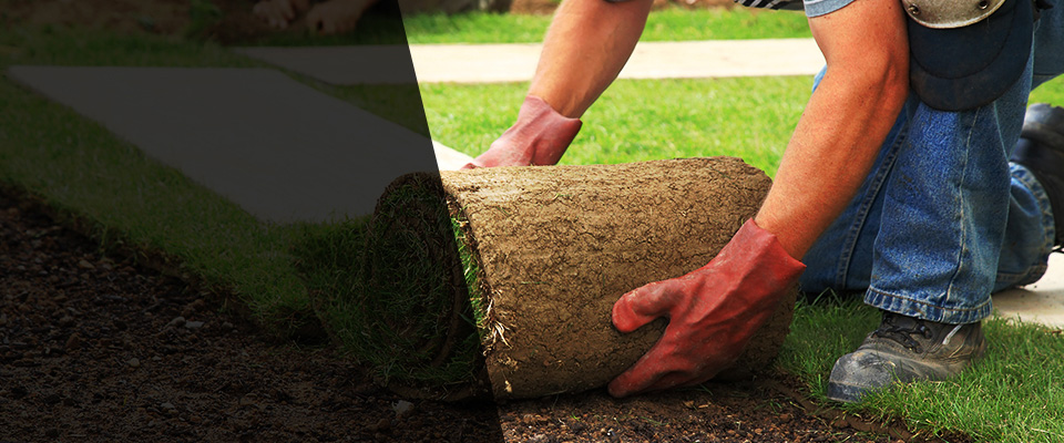 Lapeer Landscapers